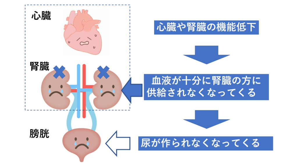 亡くなる前にみられる変化 訪問看護 訪問リハビリ 八尾市 にじリハ訪問看護ステーション